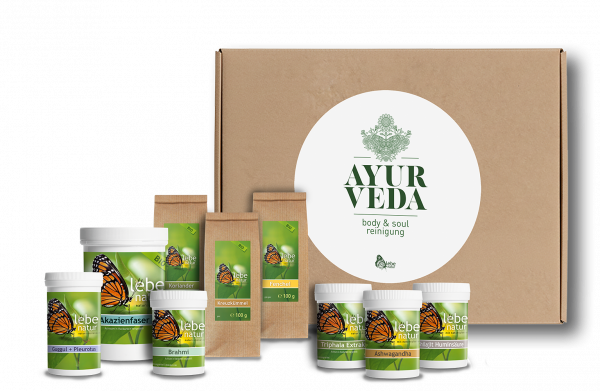 lebe natur® Ayurveda Body &amp; Soul Reinigungskur